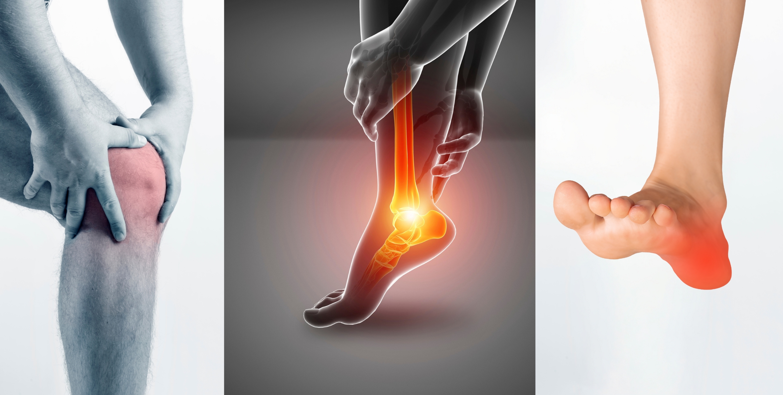 Desi Arthritis Website (4)