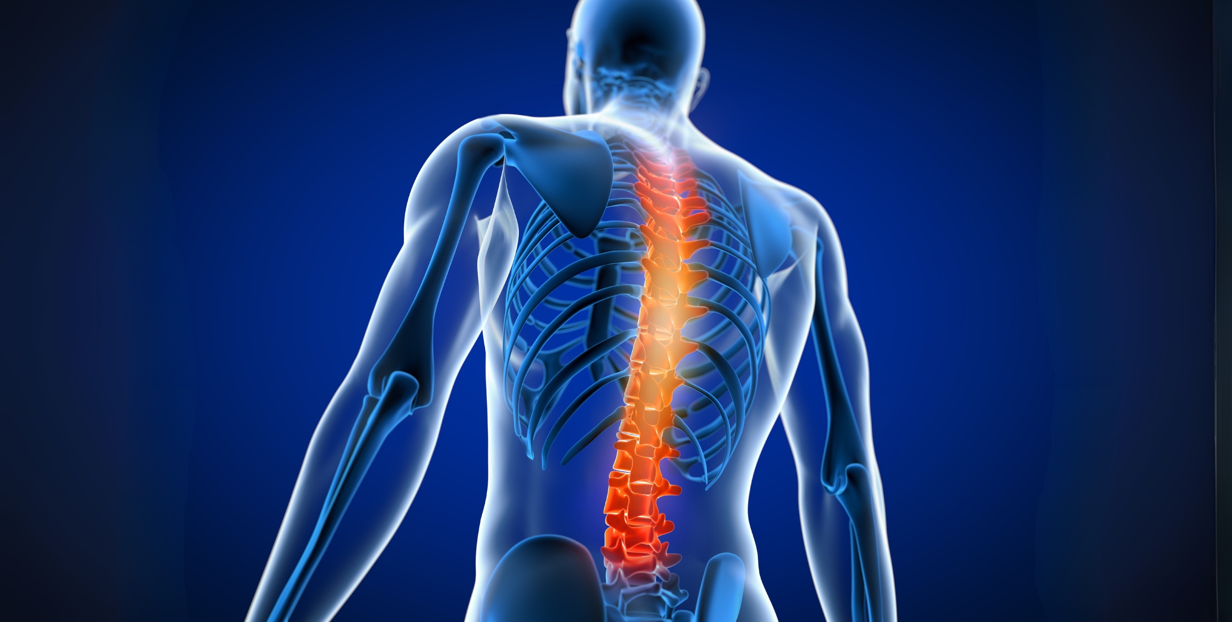 Desi Arthritis Website (5)