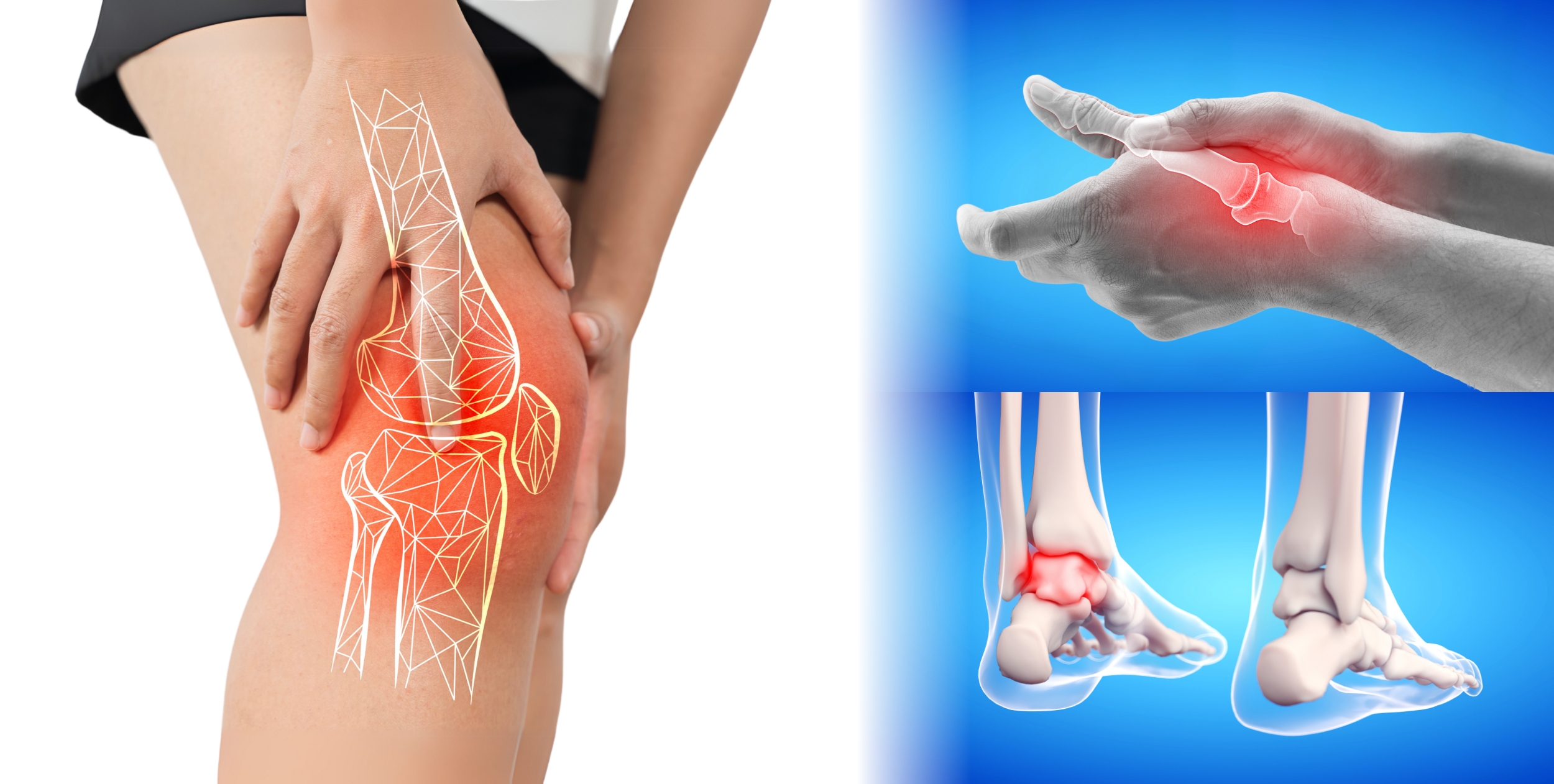 Desi Arthritis Website